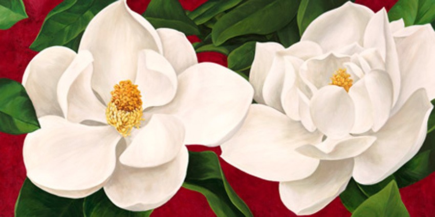 Cuadros de flores modernos en canvas. Luca Villa, Flores blancas