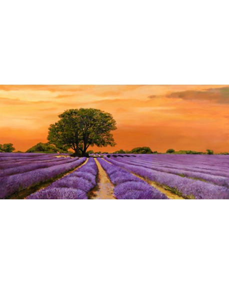 VALERIO SELLA PAISAJE CUADRO GRANDE CAMPO PUESTA DE SOL Home