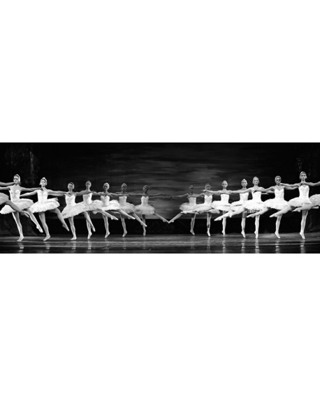 CUADRO FOTOGRAFIA BAILARINAS DE BALLET GIGANTE Home