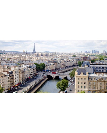CUADRO FOTOGRAFIA DE PARIS VISTAS A LA CIUDAD VINTAGE Home
