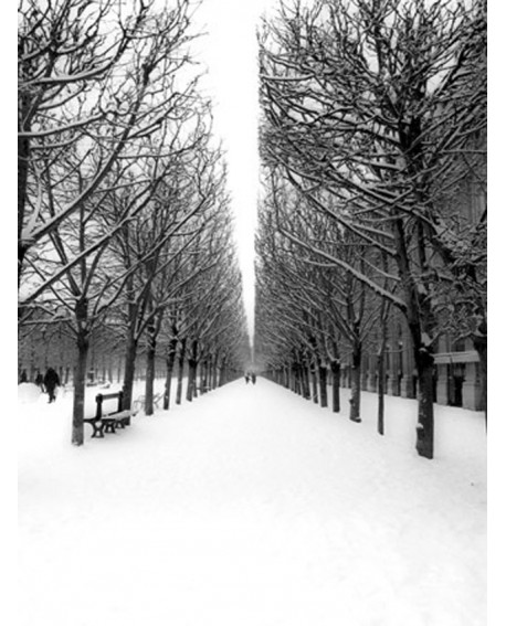 CUADRO FOTOGRAFIA DE PARIS JARDIN TUILERIES NEVADO Home