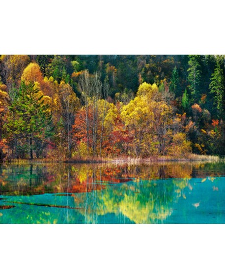 FRANK KRAHMER PAISAJE MURAL FOTOGRAFIA 3D ARBOLES EN LAGO Home