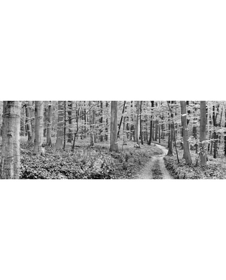 FRANK KRAHMER PAISAJE BN FOTOGRAFIA 3D MEGA PANORAMICO Home