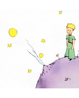 CUADRO INFANTIL JUVENIL SAINT EXUPERY EL PRINCIPITO 3 Home