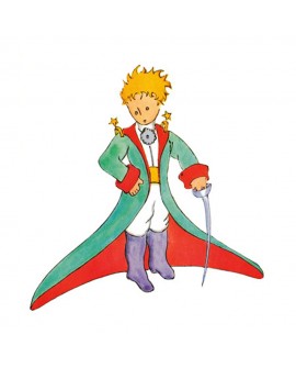CUADRO INFANTIL JUVENIL SAINT EXUPERY EL PRINCIPITO 2 Home