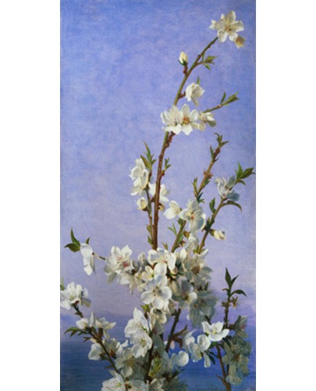 SHOPIE CUADRO CLASICO FRISO PAISAJE FLORES BLANCAS 2 Home