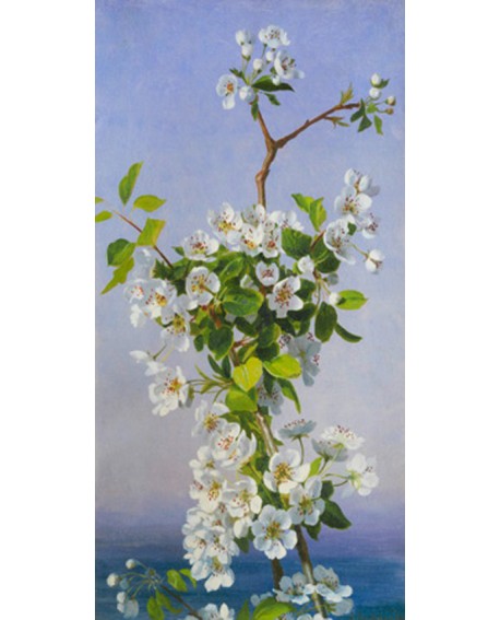 SHOPIE CUADRO CLASICO FRISO PAISAJE FLORES BLANCAS 1 Home