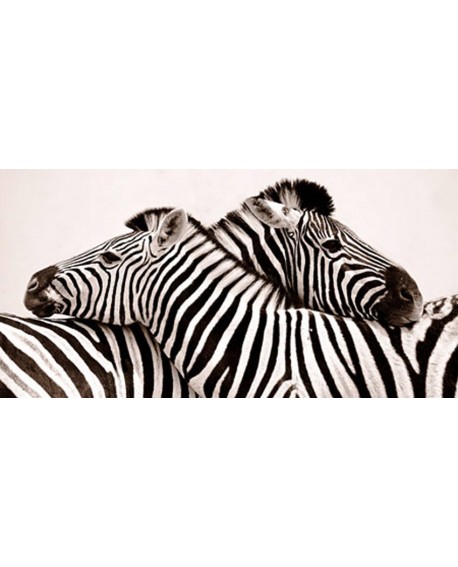 CUADRO FOTO ARTISTICA ANIMAL CEBRAS FAUNA PANORAMICO 2 Home