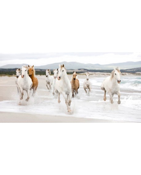 CUADRO FOTO ARTISTICA ANIMAL CABALLOS FAUNA PANORAMICO Home