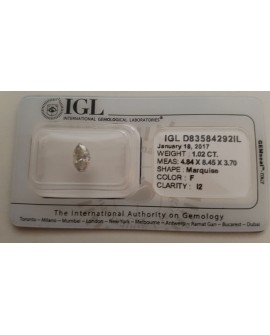 Diamante de 1,02 Quilates. Autentico y garantizado con certificado IGL