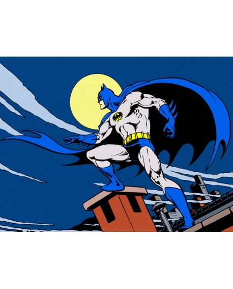 Batman Warner Cuadro Juvenil Comic Mural Oficial en tamaño grande Cuadros Horizontales