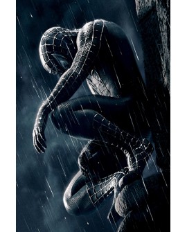 Spiderman Negro de Film Marvel en Cuadro Mural Juvenil Reproduccion Home