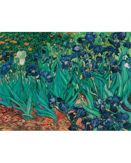 Van Gogh los lirios en jardin cuadro impresionista en reproduccion Home