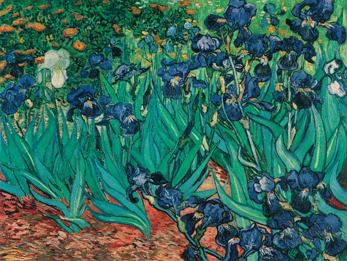 Van Gogh los lirios en jardin cuadro impresionista en reproduccion