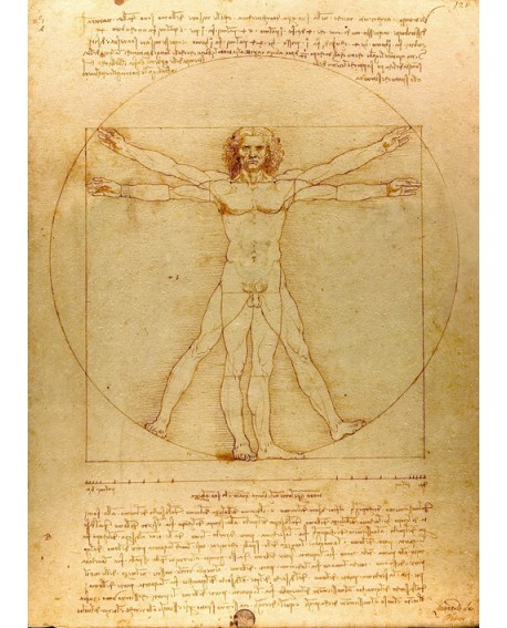 Vitruvio Leonardo da Vinci Las proporciones Mural Clasico Home