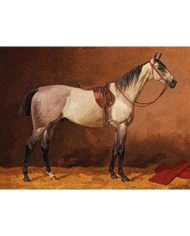 emil volkers cuadro clasico caballo blanco carreras