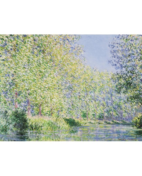 monet cuadro impresionista paisaje jardin en el rio giverny Home