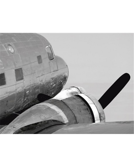 Fotografia clasica blanco y negro cuadro cabeza avion Home