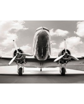Fotografia clasica blanco y negro cuadro frontal avion 2 Home