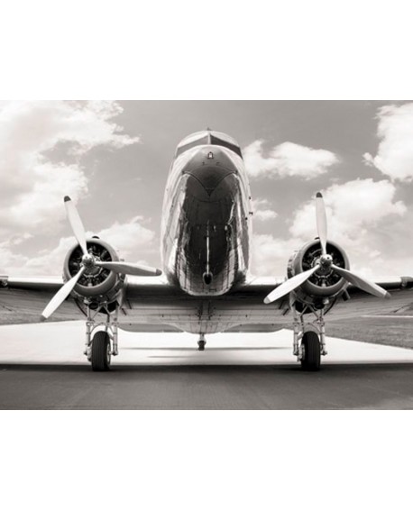 Fotografia clasica blanco y negro cuadro frontal avion 2 Home