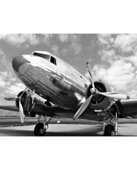 Fotografia clasica blanco y negro cuadro lateral avion Home