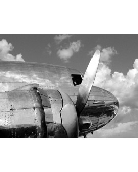 Fotografia clasica blanco y negro cuadro morro avion