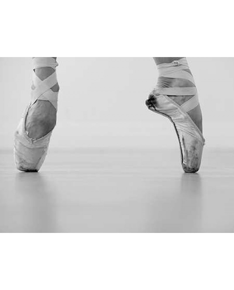 Fotografia clasica blanco y zapatillas ballet Descripc...