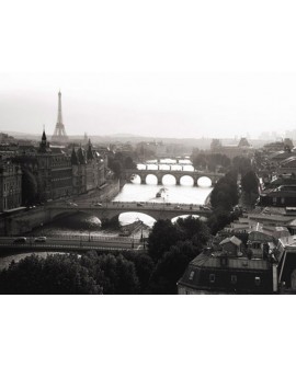 Fotografia clasica cuadro vista de paris rio sena 2 Home