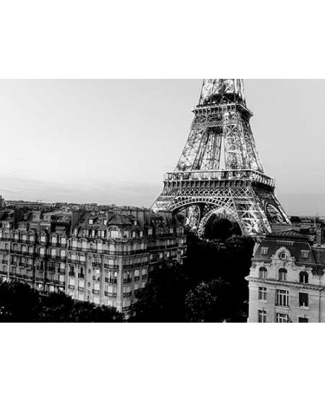 Fotografia clasica blanco y negro torre eiffel casas paris Home