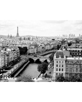 Fotografia clasica cuadro vista de paris rio sena Home