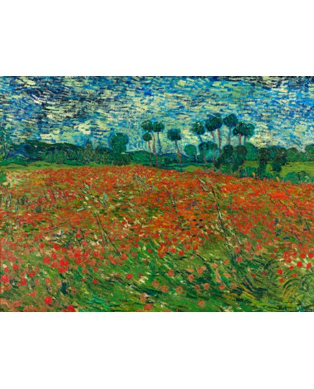 van gogh IMPRESIONISTA clasico CAMPO DE AMAPOLAS Home