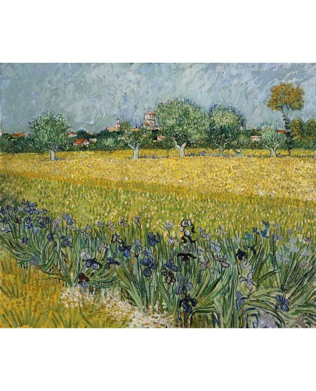 van gogh IMPRESIONISTA clasico CAMPO CON IRIS Home