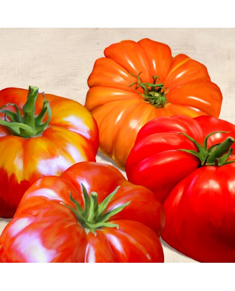 REMO BARBIERI CUADRO COCINA TOMATES ROJOS BODEGON Home