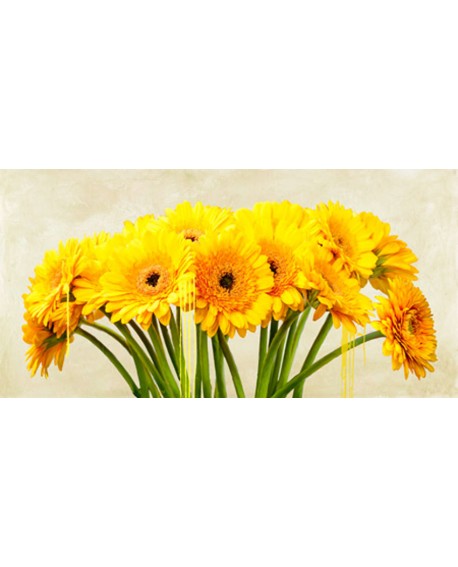 alex vinci cuadro mural cabecero flores gerberas panoramico Cuadros Horizontales