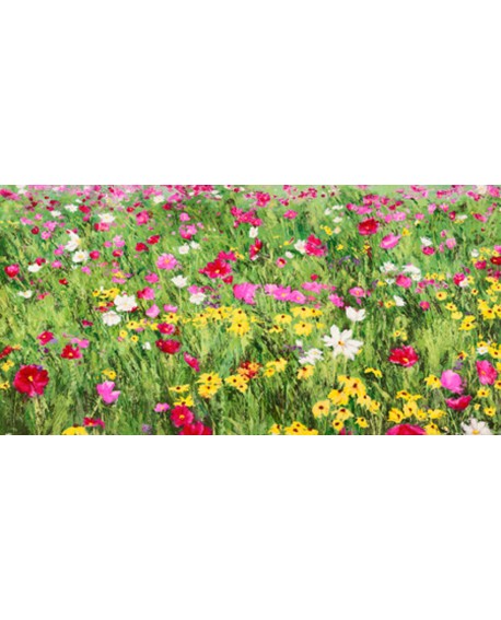silvia mei cuadro mural flores en primavera impresionista Cuadros Horizontales