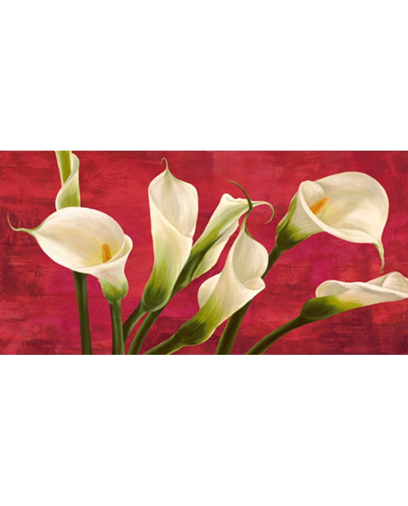 serena biffi cuadro flores calas blancas panoramico Descripción de ...