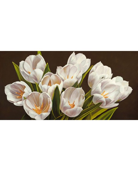 serena biffi cuadro mural flores tulipanes blancos Cuadros Horizontales