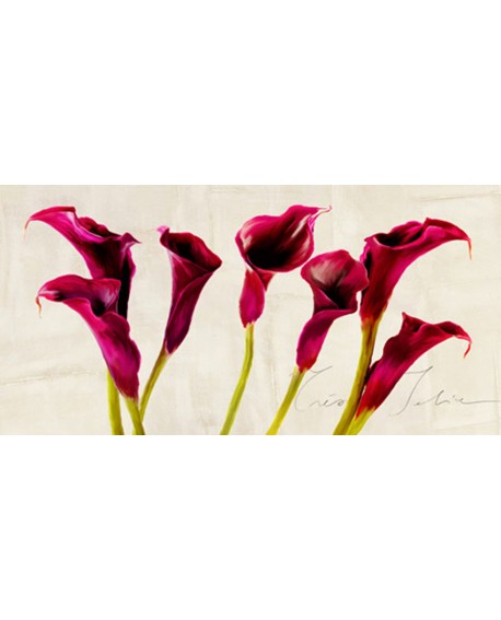 teo rizzardi cuadro flores calas bonitas panoramico Cuadros Horizontales