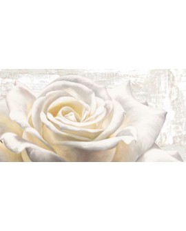 jenny thomlinson cuadro mural flores rosa glamour blanca Cuadros Horizontales